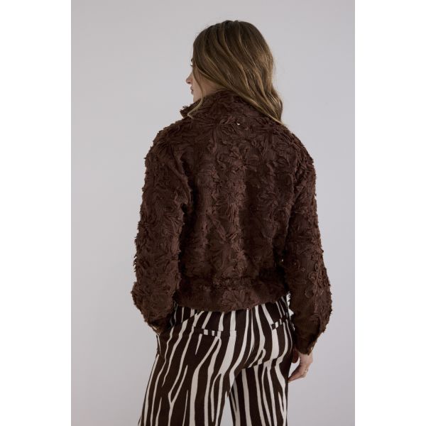 Tramontana kanten jasje chocolate C39-21-801